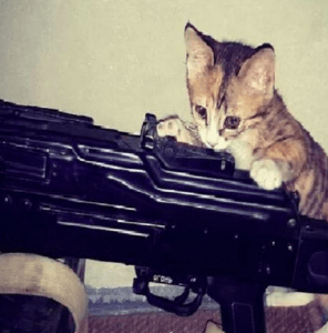 Photos of cats and guns, posted by self-proclaimed terrorists, went viral